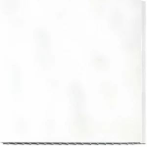 Панель ПВХ АлтайПласт матовая белый 0,25*3м