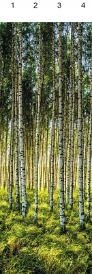 Панель ПВХ фон Урал-Пласт Березовая Роща (4 панели) зеленый 0,25*2,7м