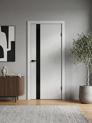 Дверь FlyDoors Тринити TR06 (алюм.кромка черная 4-х сторон.) сильвер, ПЭТ, черное стекло