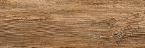 Фото Керамогранит матовый Lasselsberger Ипанема 6264-0011 (структурный) коричневый 200*600*8,5 – купить в Красноярске: цена, описание, фото. Интернет-магазин 3